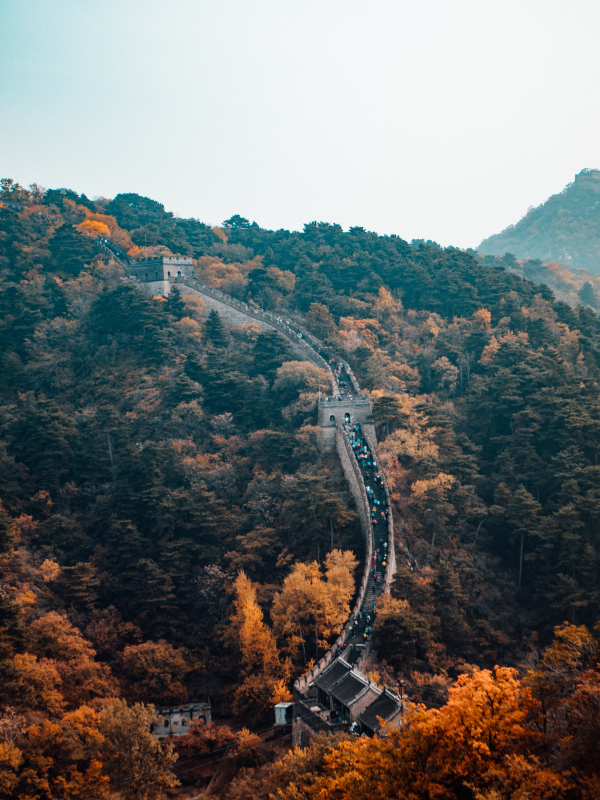 ENFP Personality: What Introverts Need to Know