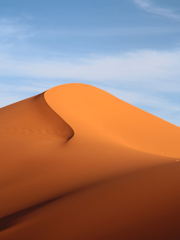 ESFP professional balancing burnout recovery with addressing competence doubt patterns