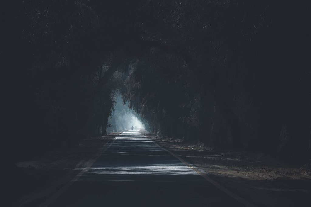 A scenic and atmospheric road with tree silhouettes creating a dark and mysterious tunnel effect.