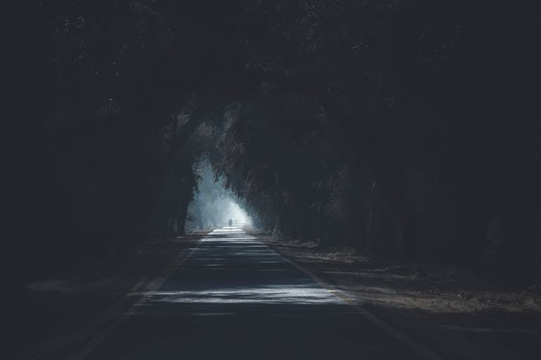 A scenic and atmospheric road with tree silhouettes creating a dark and mysterious tunnel effect.
