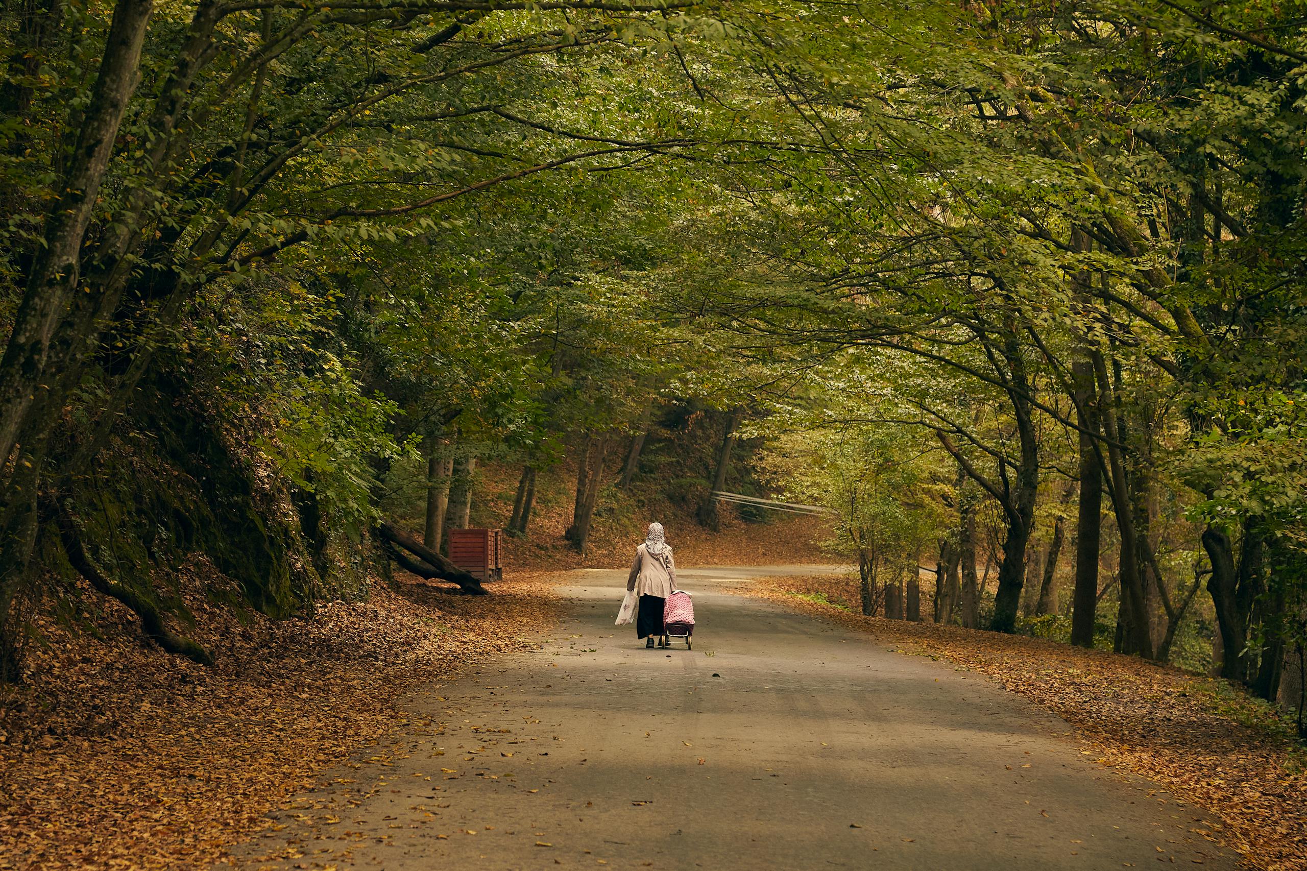 INFJ finding new paths forward during empty nest transition through solitary reflection