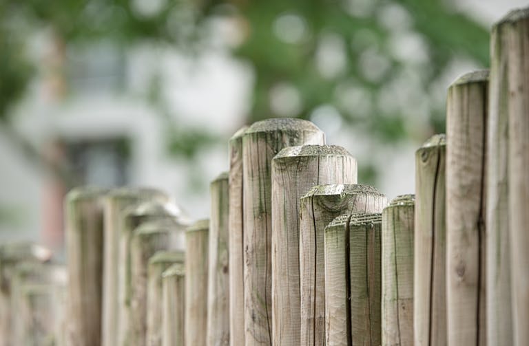Close-up view of a textured wooden fence against a blurred natural background.