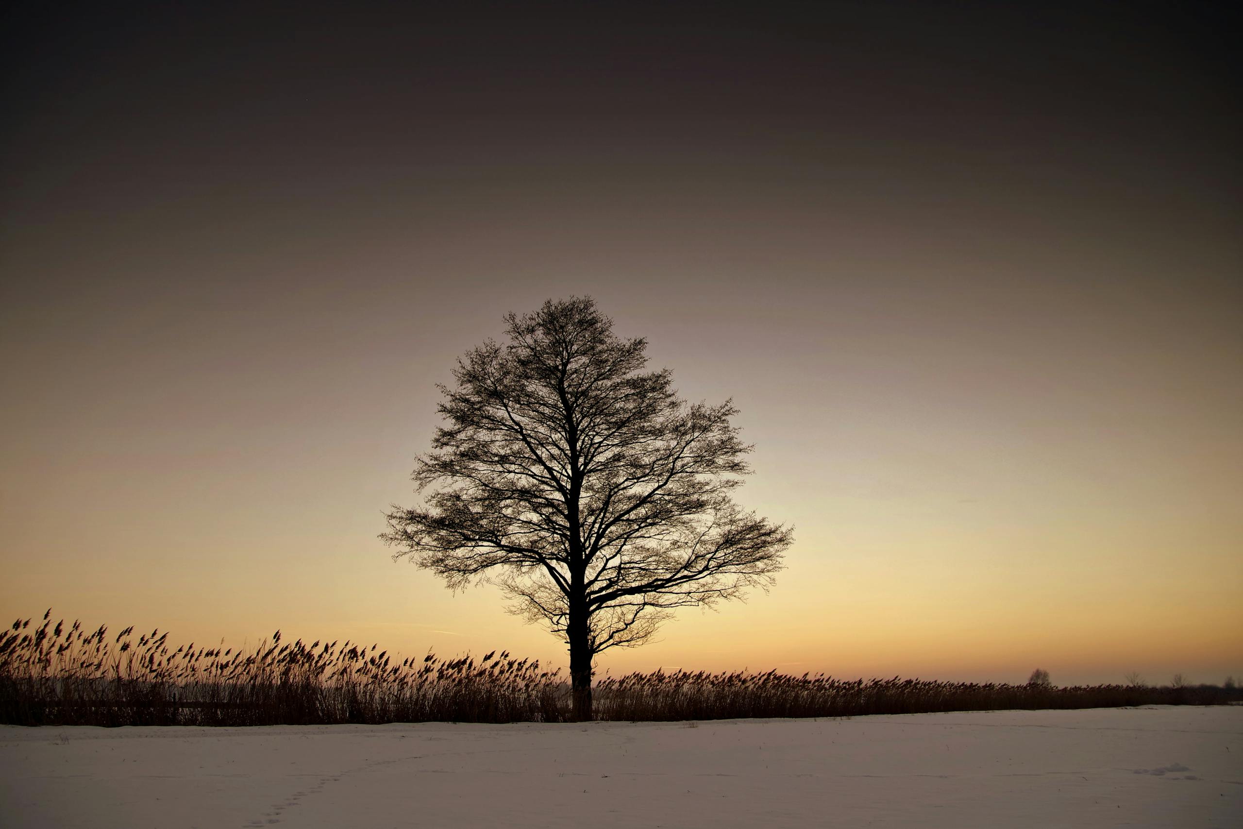 Calm outdoor scene with sky or water, likely sunrise or sunset