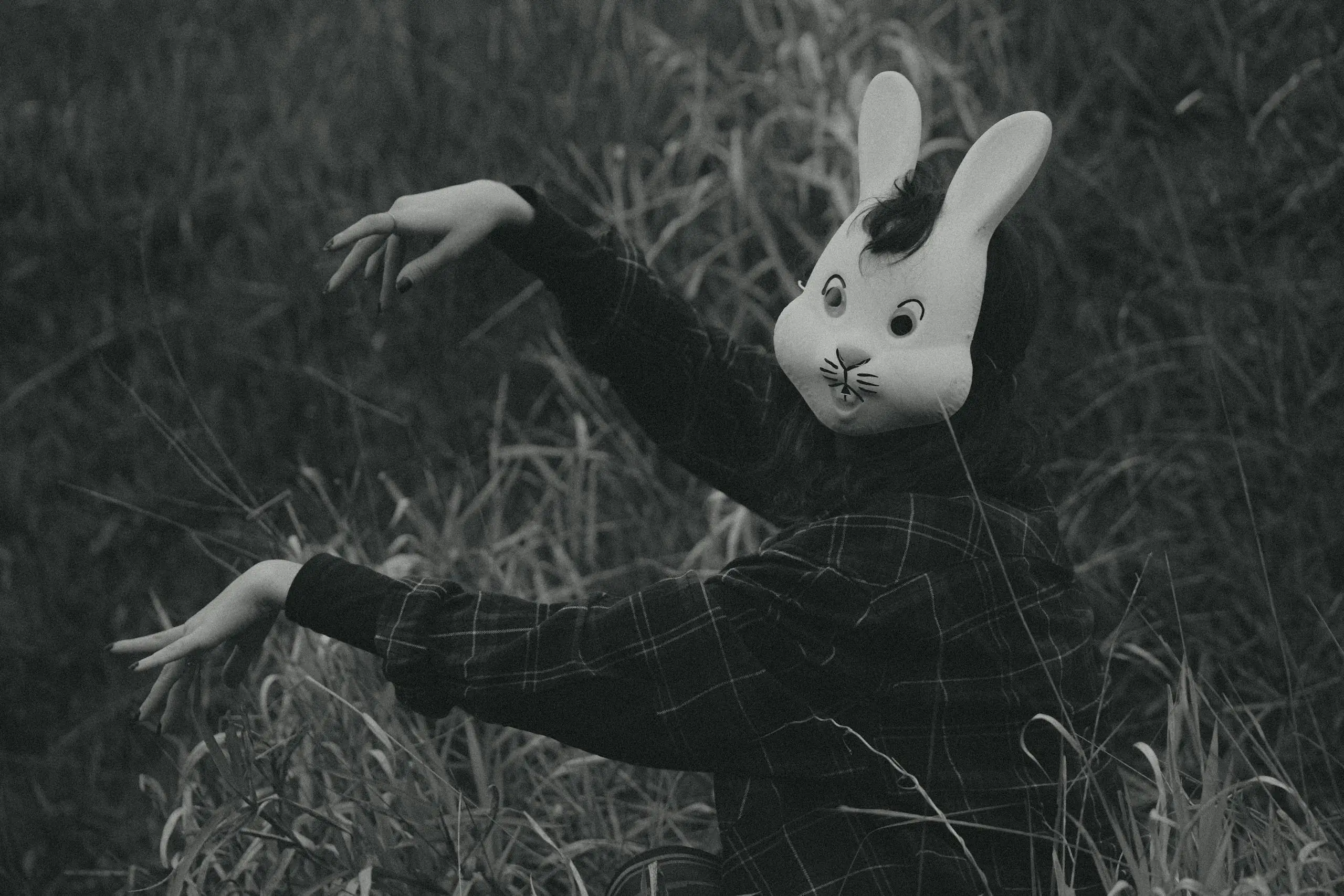Mysterious figure in rabbit mask posing in tall grass creating eerie atmosphere.