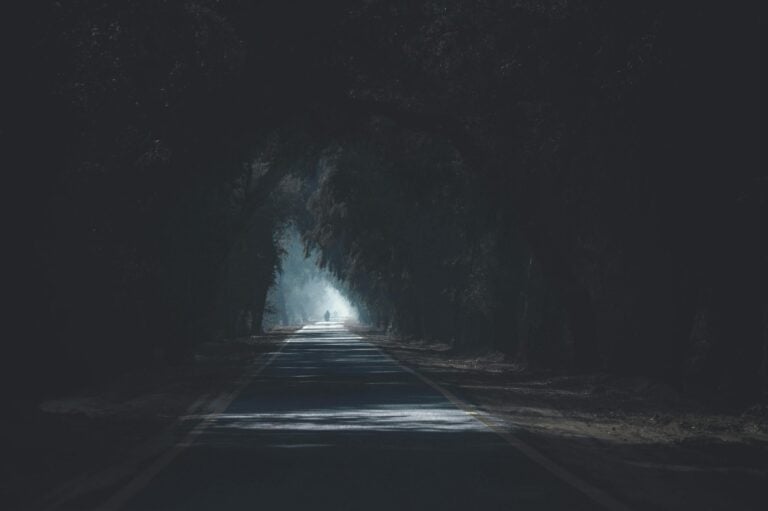 Atmospheric tree-lined road creating dark mysterious tunnel effect silhouettes.