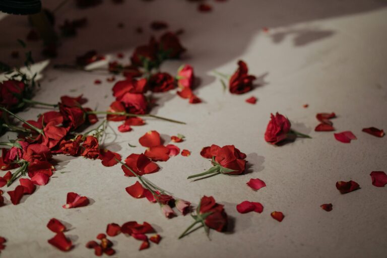 Scattered red roses and petals arranged on light background evoking romance.