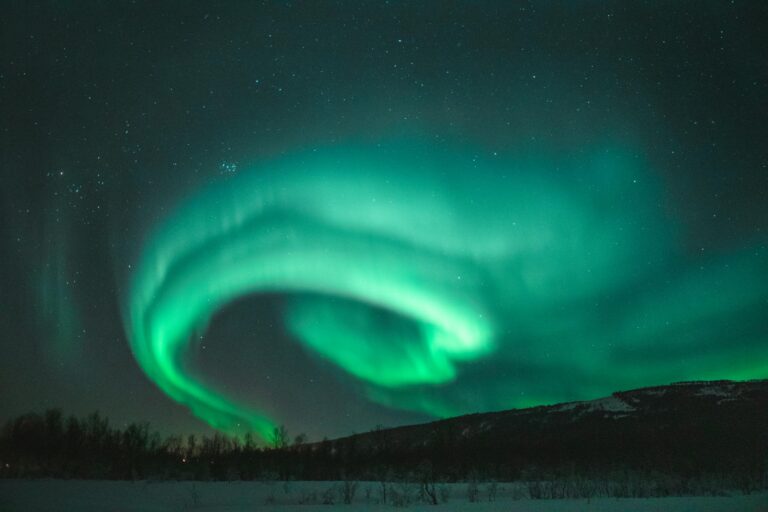 Northern lights dancing above snowy landscape under starry night sky.