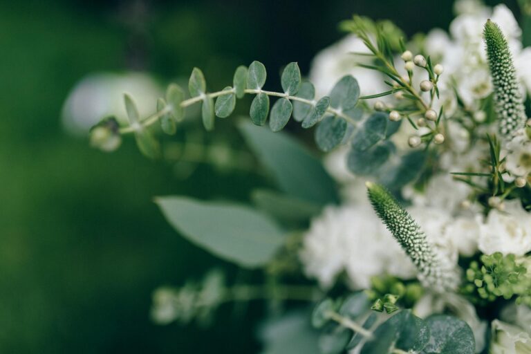 Close-up of elegant white floral arrangement with fresh green leaves