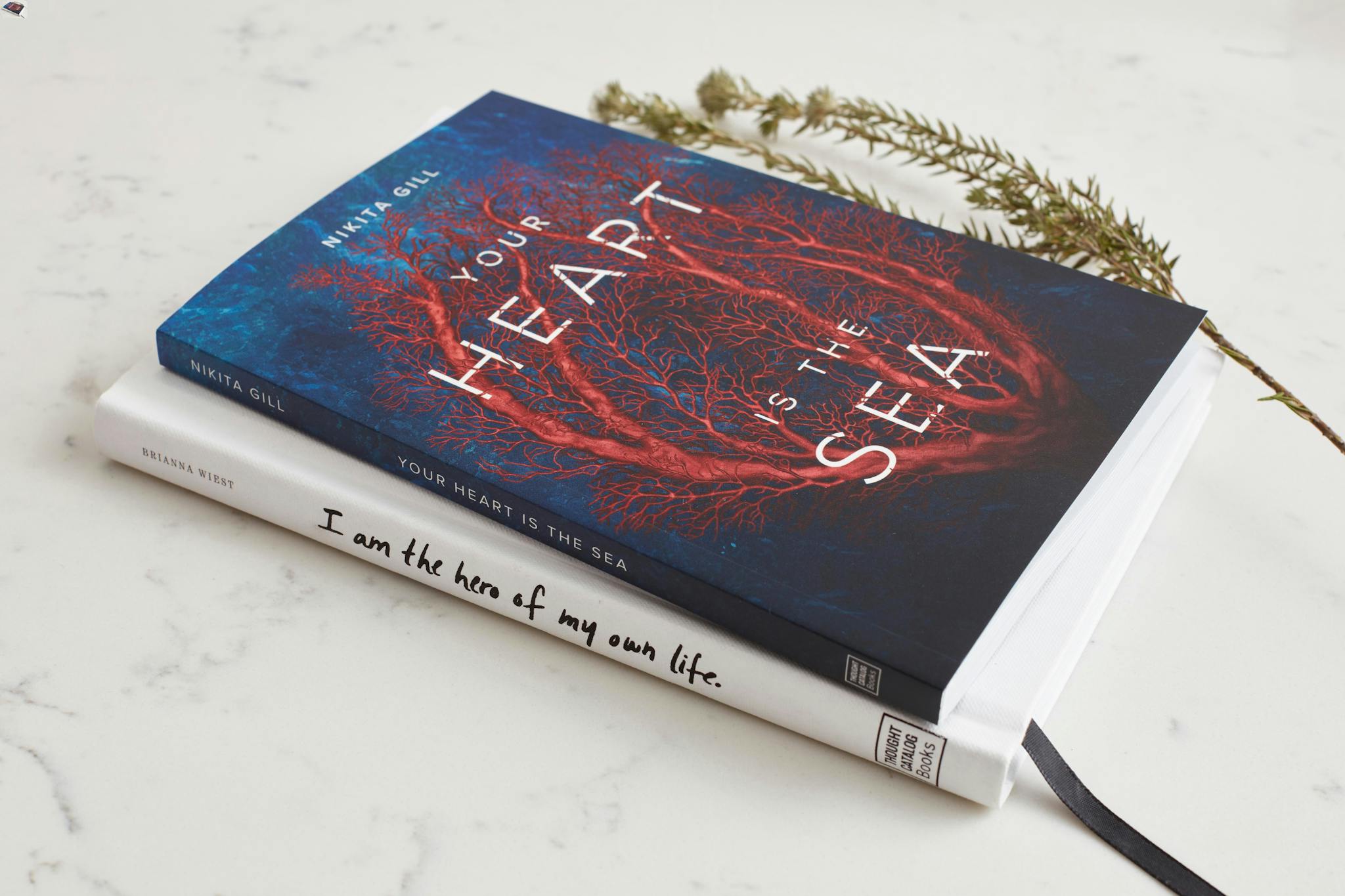 Close-up view of two stacked books on surface