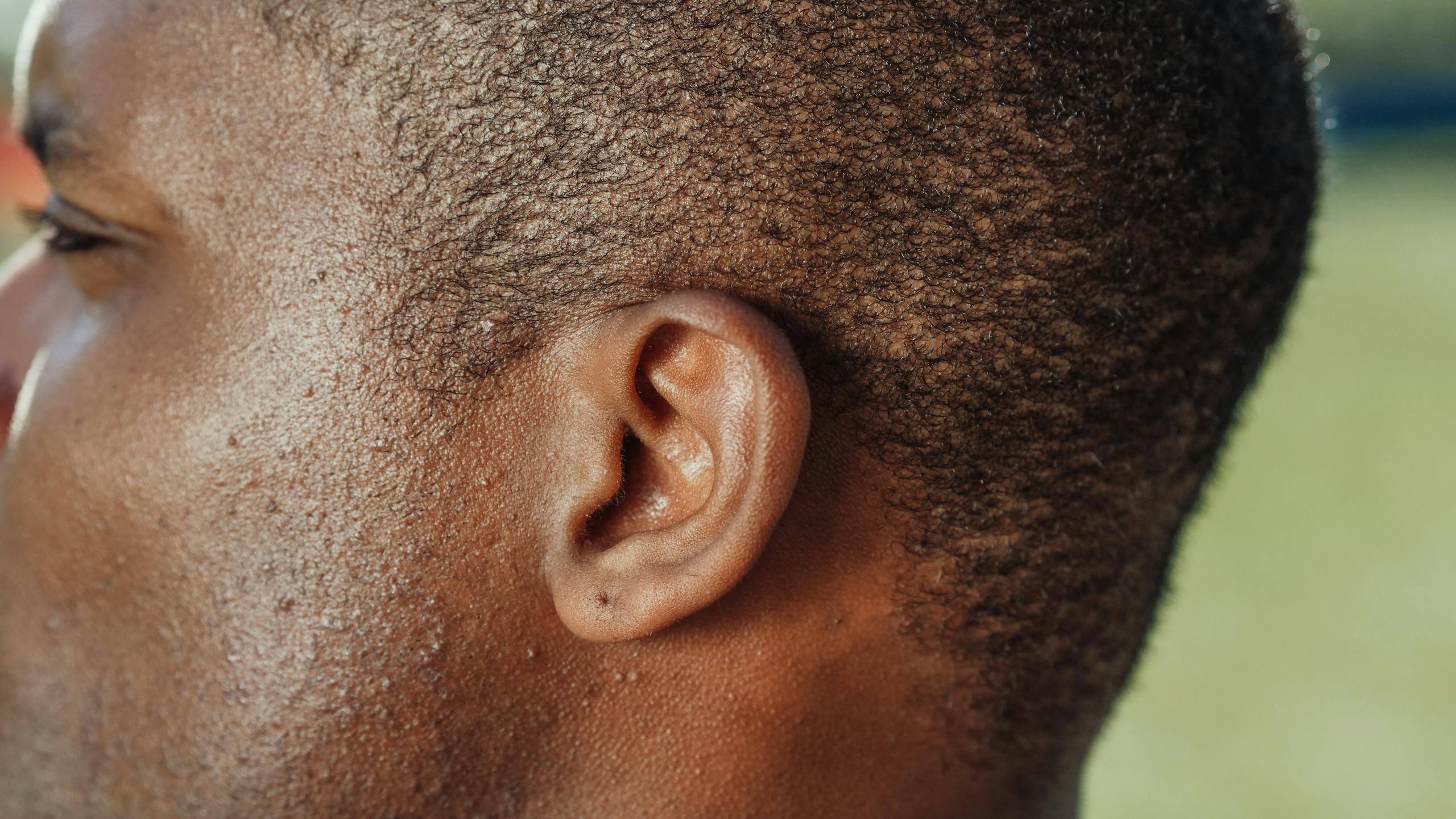 Close-up detailed texture of person's ear, skin and hair in detail.