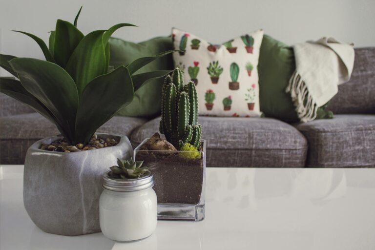 Modern living room with potted plants, cactus decor, and cozy sofa.