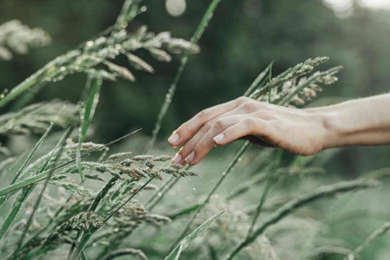 Gentle hand touching wet grass and wildflower stems in nature