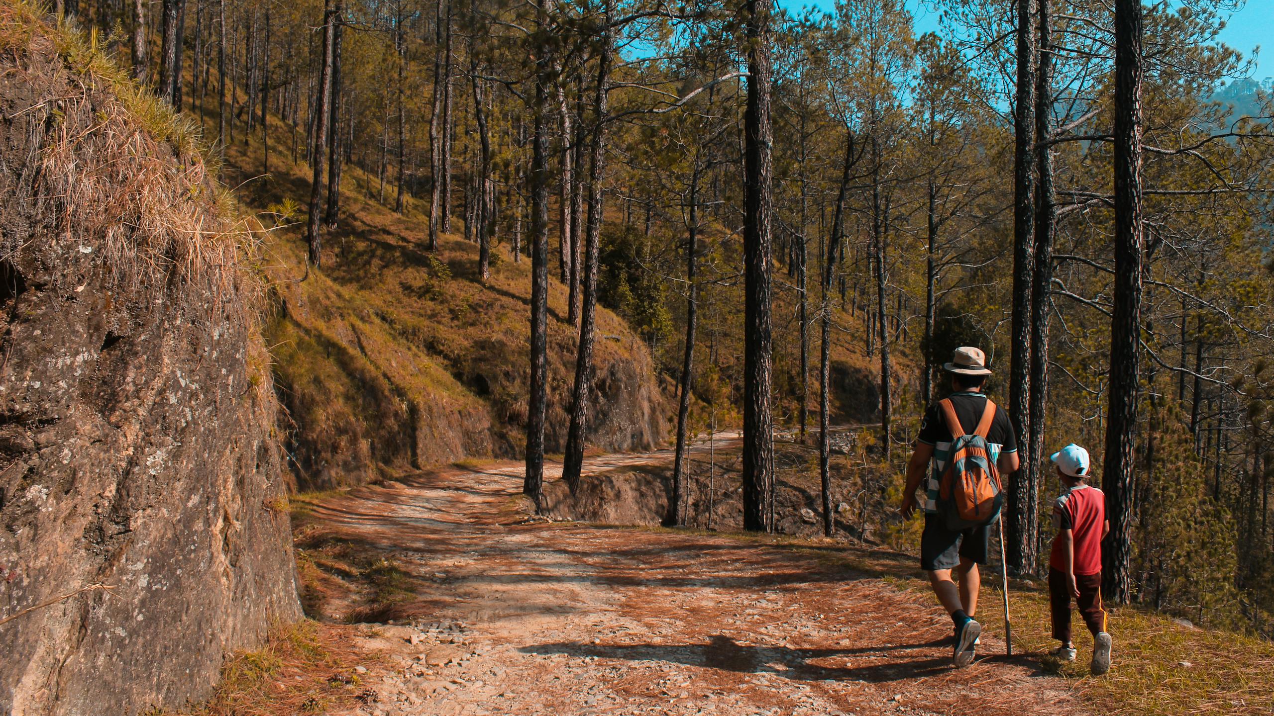 Father and son hiking on scenic forest trail in daylight surrounded by tall trees