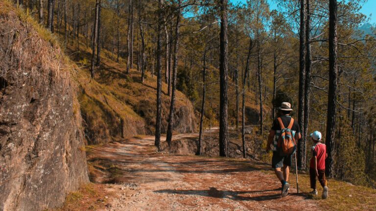 Father and son hiking on scenic forest trail in daylight surrounded by tall trees