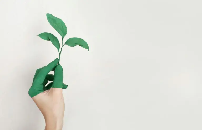 Hand painted green holding fresh plant sprout against light background symbolizing growth.
