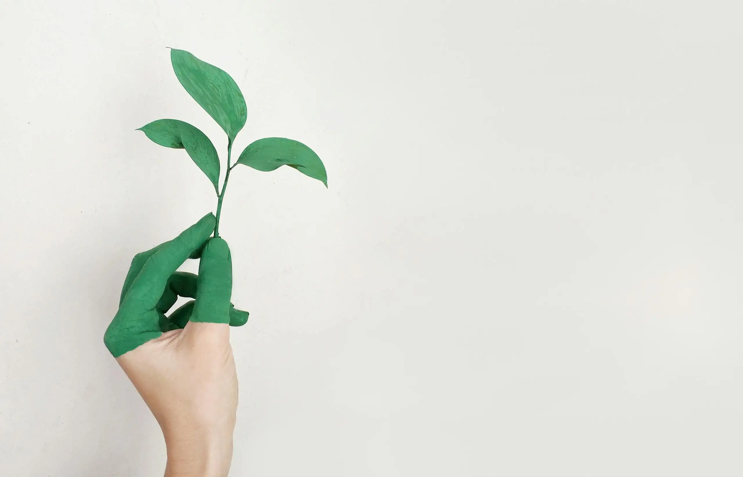 Hand painted green holding fresh plant sprout against light background symbolizing growth.