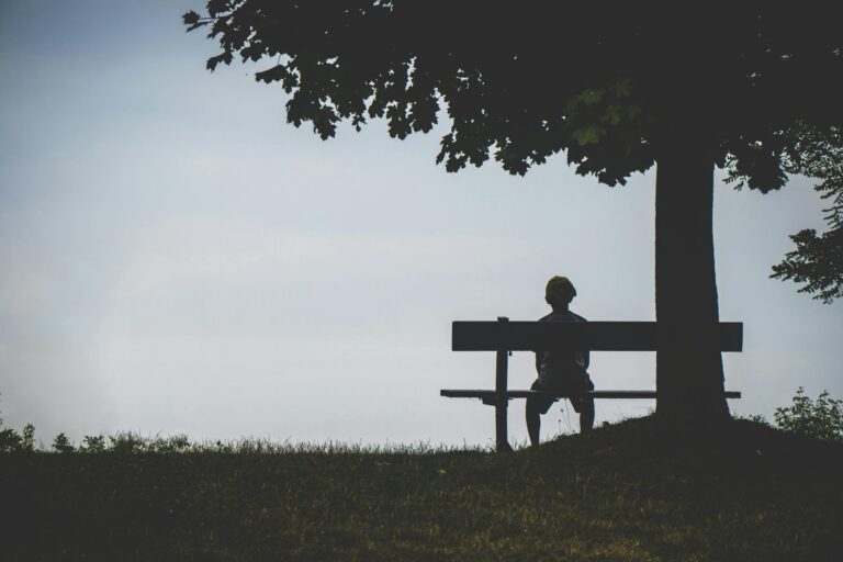 Lone silhouette on bench under tree at twilight evoking solitude