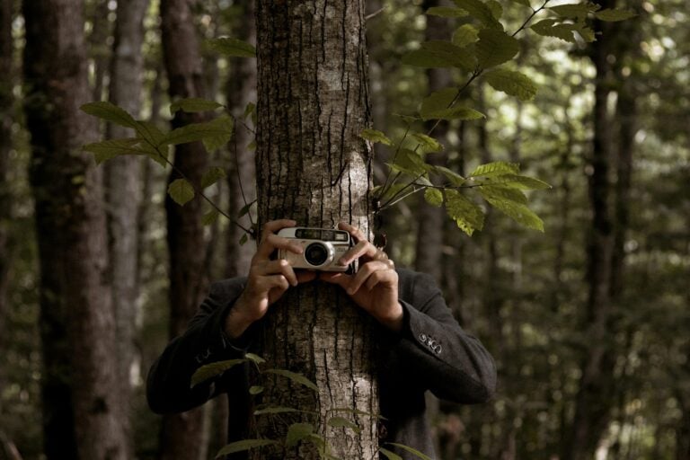 Person hidden behind tree with camera in dense forest capturing nature photography