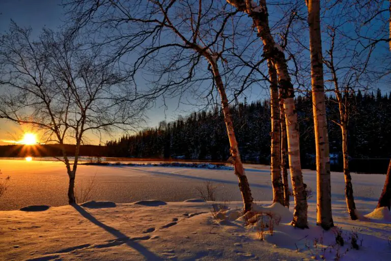 Serene winter sunset casting shadows on frozen lake surrounded by snow and trees