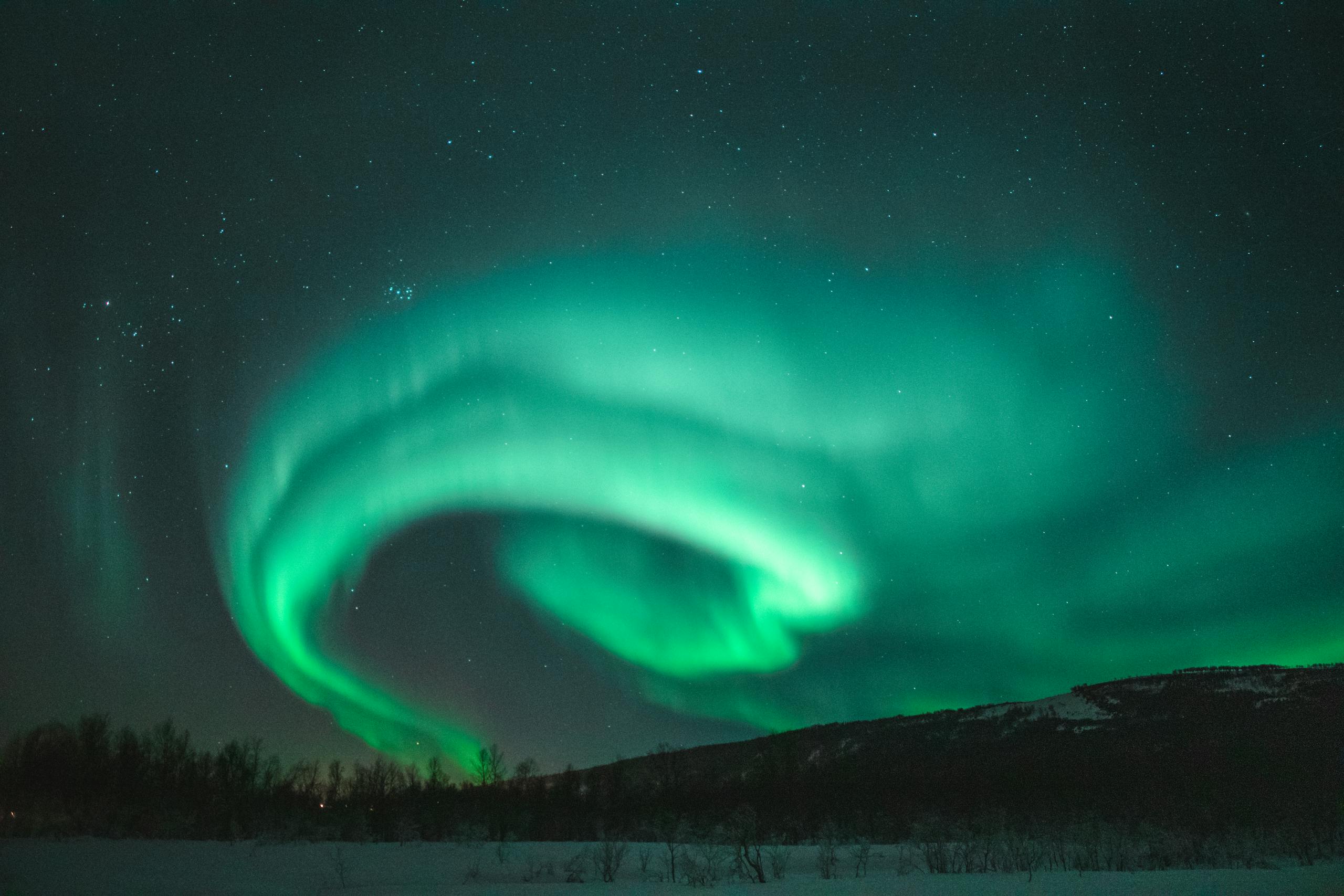 Northern lights dancing above snowy landscape under starry night sky.