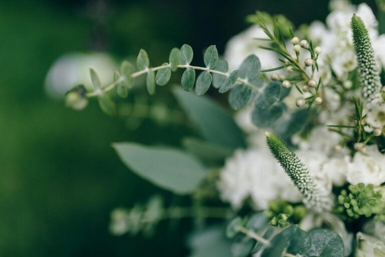 Close-up of elegant white floral arrangement with fresh green leaves
