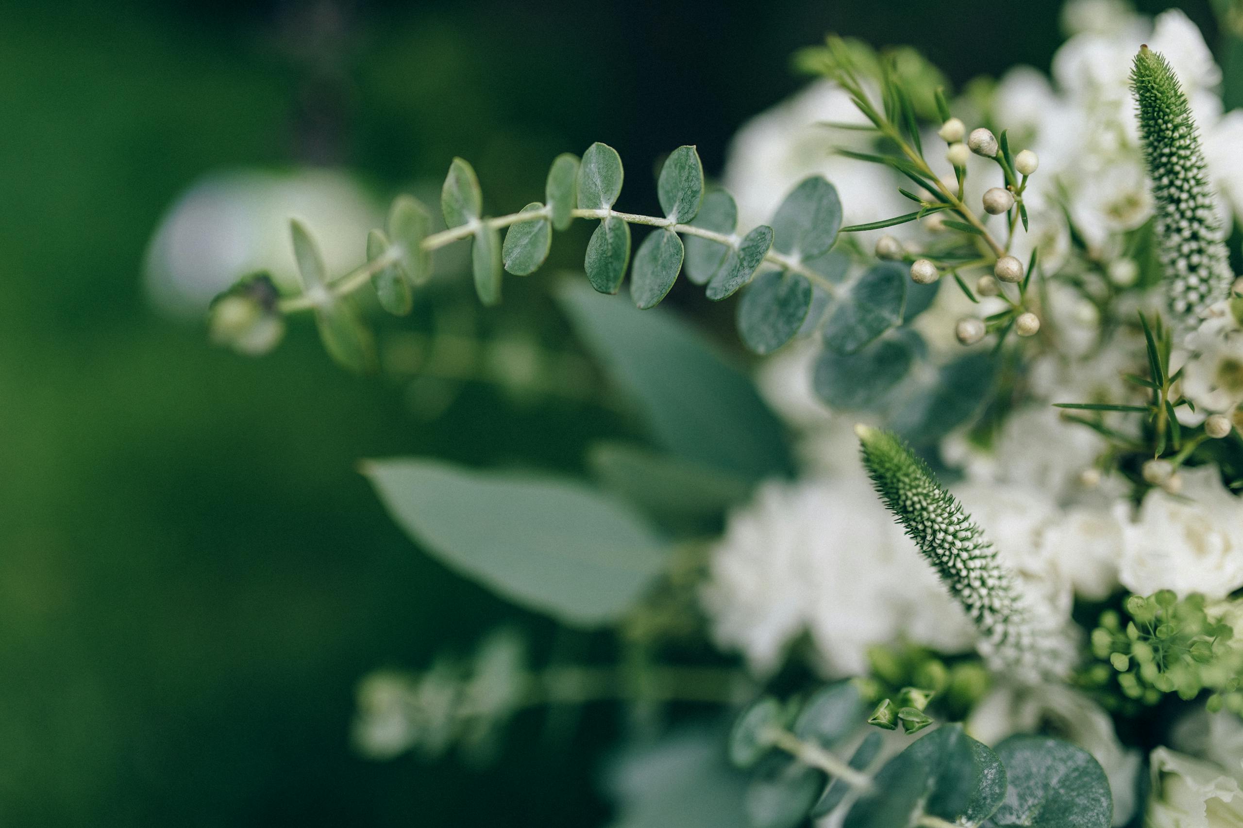 Close-up of elegant white floral arrangement with fresh green leaves