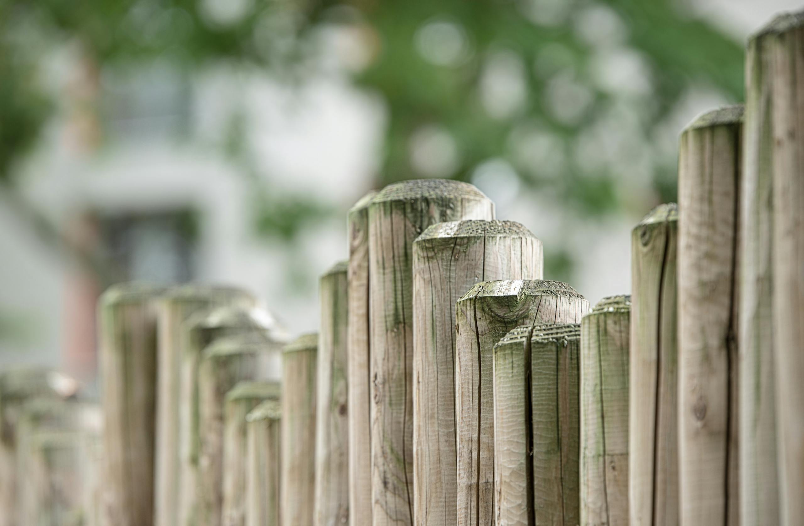 Close up view of textured wooden fence with blurred natural background