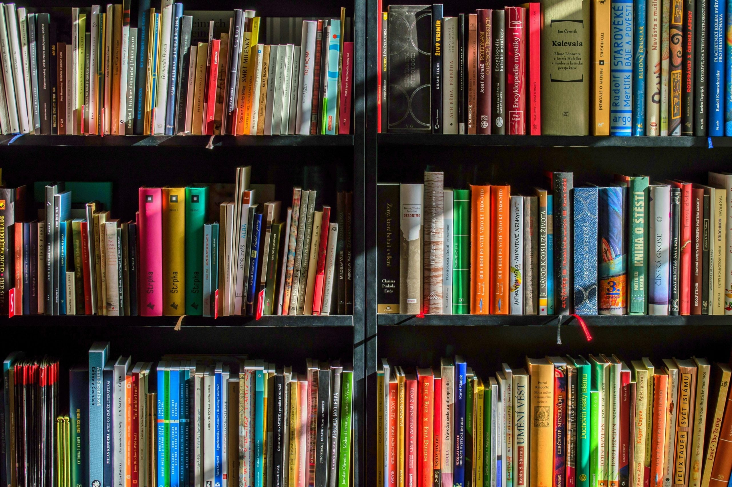 Well-organized home library shelves filled with colorful books and reading materials